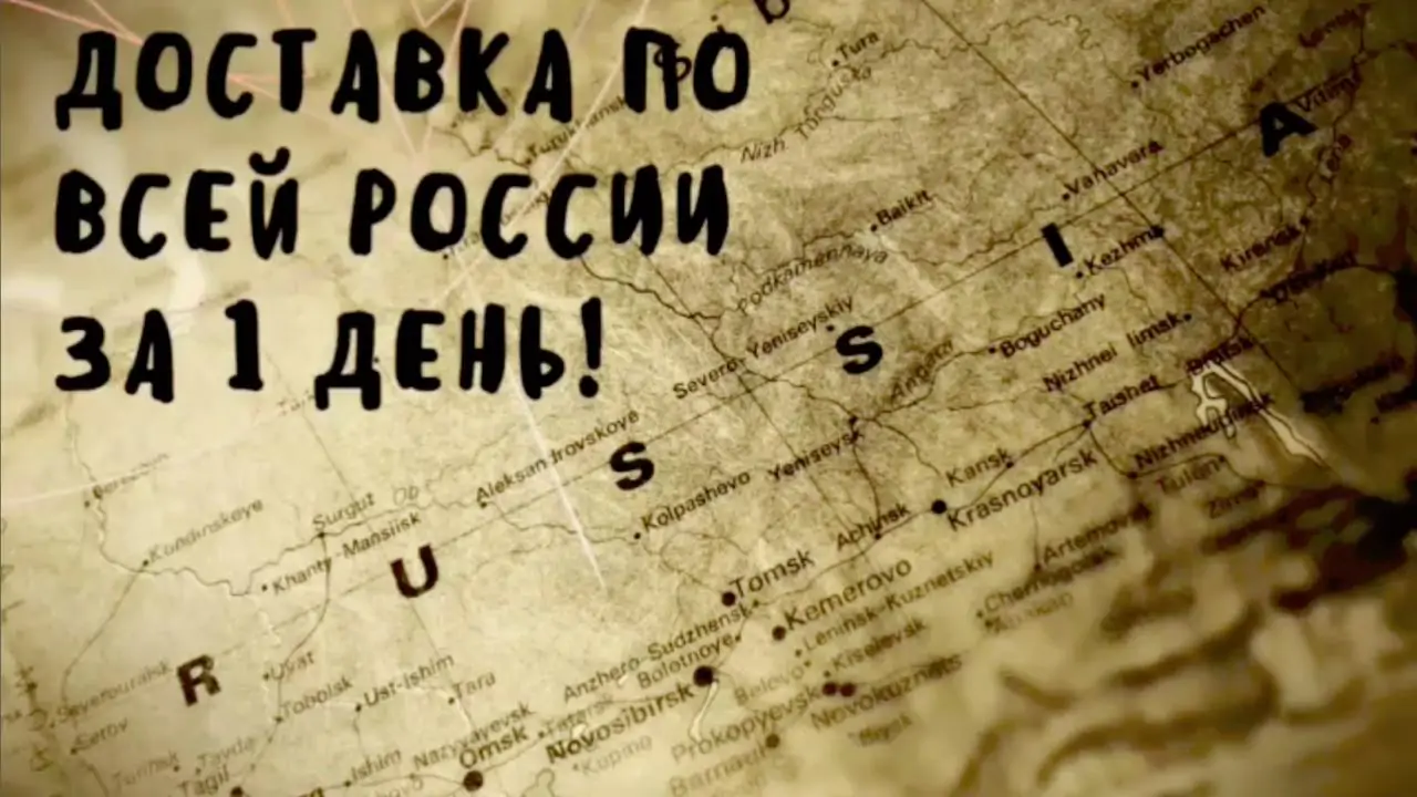 Доставка за 1 день по всей России